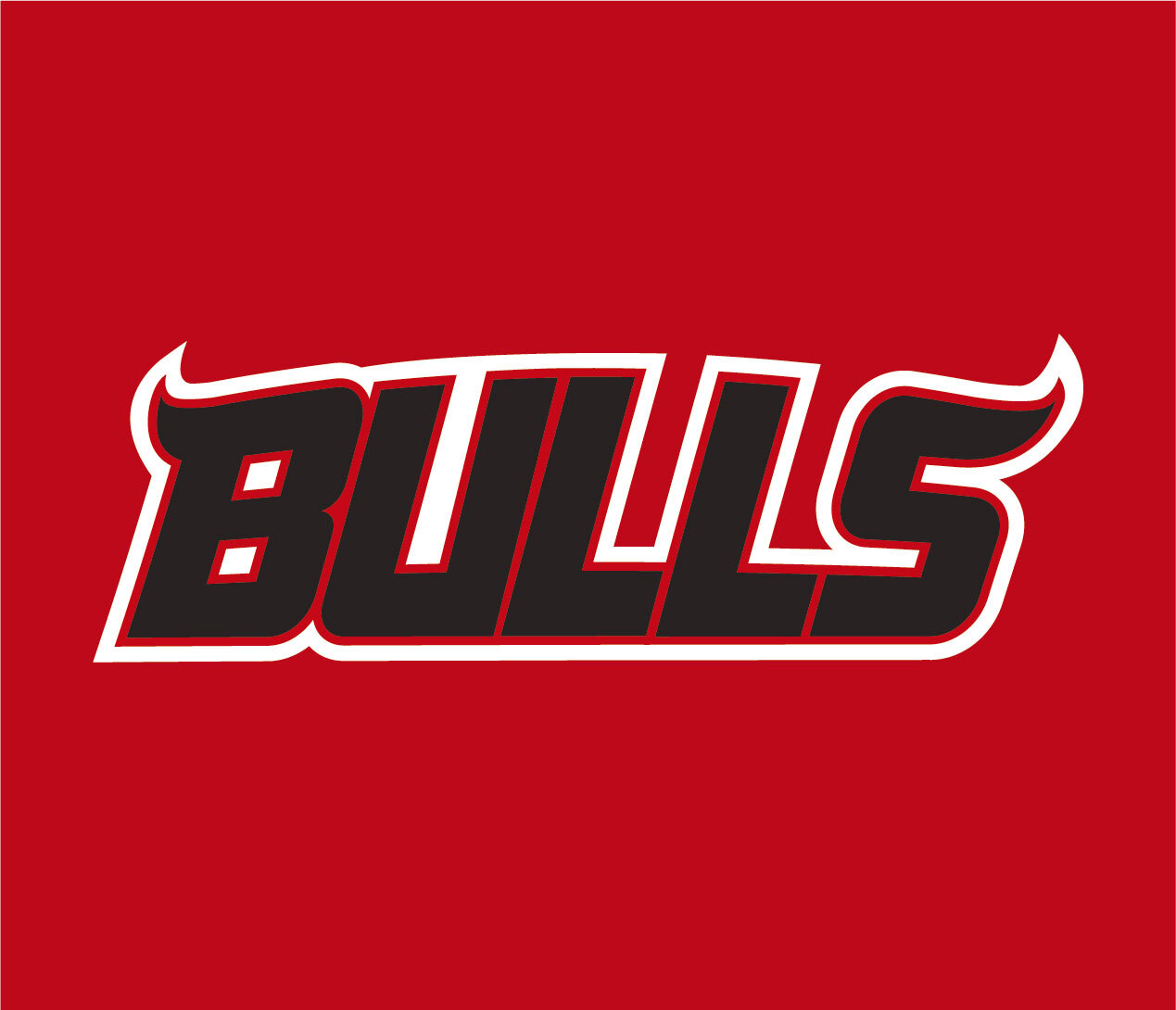 Bulls_logo